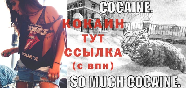 гашик Семёнов